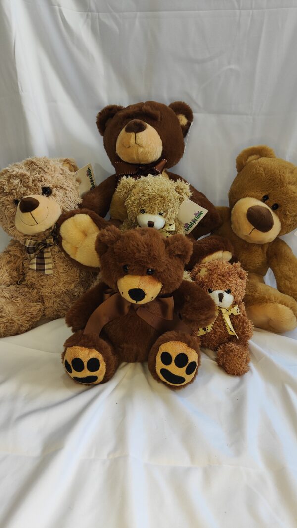 Assortment of teddies