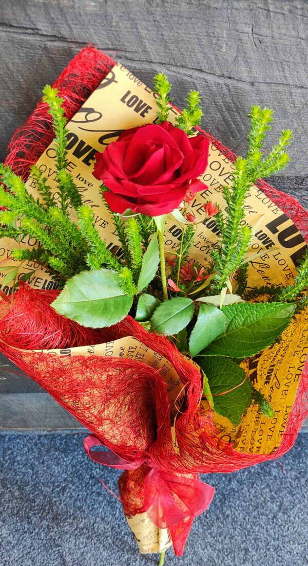 Valentines day/romantic/ single red rose/love